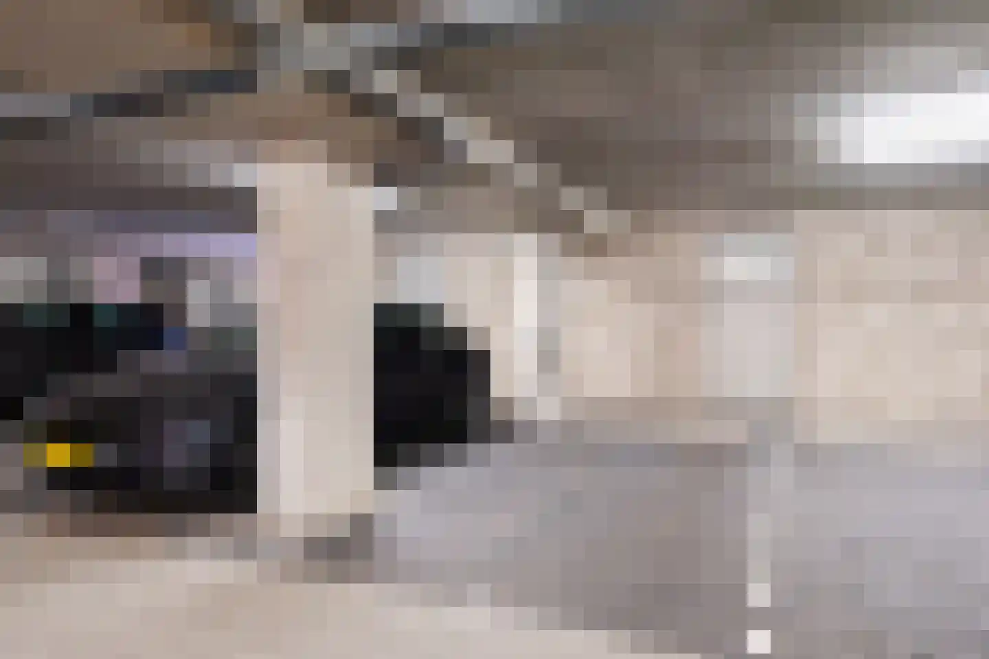 Yoka Berrettyhof 8 Rotterdam thumbnail 38