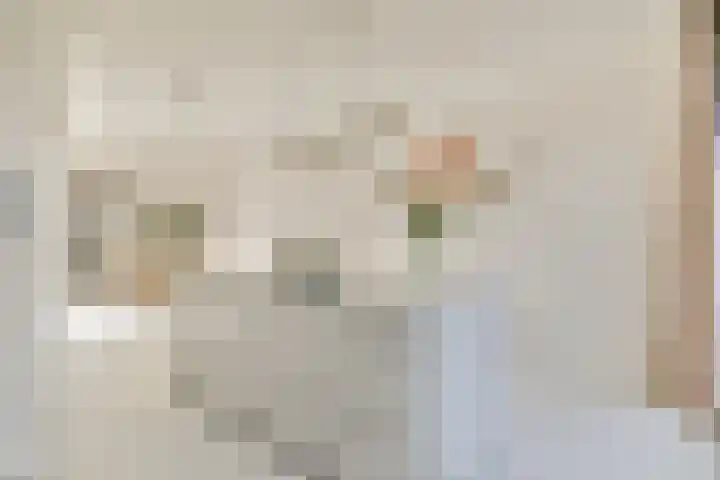 Yoka Berrettyhof 9 Rotterdam thumbnail 11