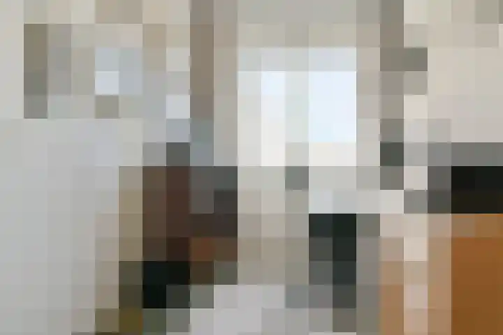 Yoka Berrettyhof 9 Rotterdam thumbnail 21