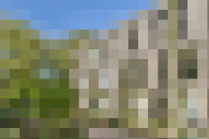 Yoka Berrettyhof 9 Rotterdam thumbnail 28