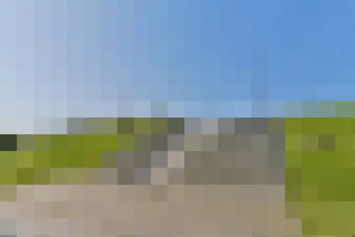 Yoka Berrettyhof 9 Rotterdam thumbnail 31