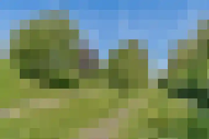 Yoka Berrettyhof 9 Rotterdam thumbnail 32