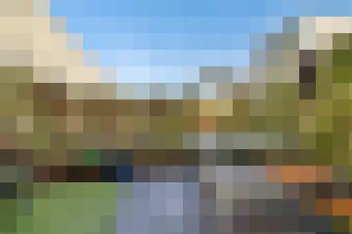 Yoka Berrettyhof 9 Rotterdam thumbnail 4