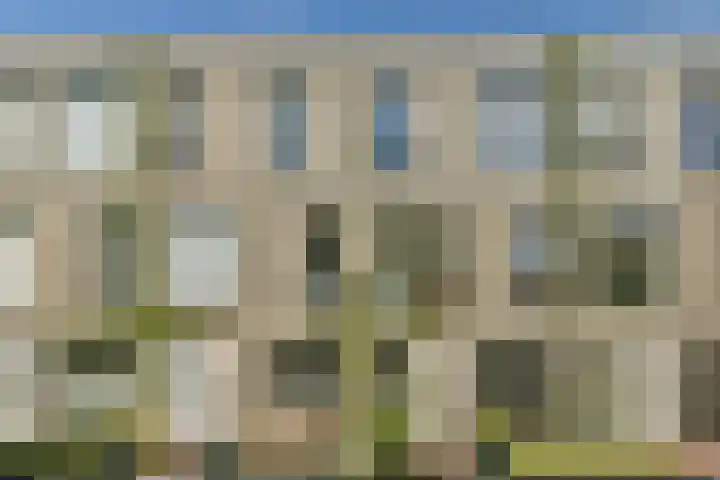 Yoka Berrettyhof 9 Rotterdam thumbnail 5