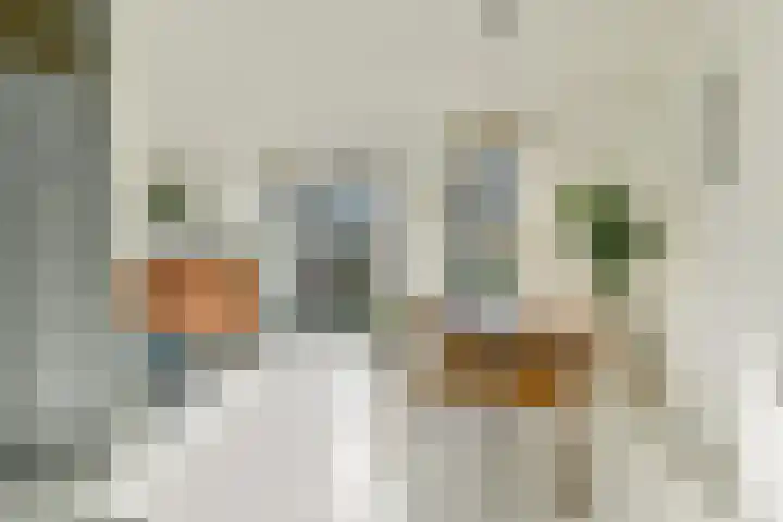Yoka Berrettyhof 9 Rotterdam thumbnail 8