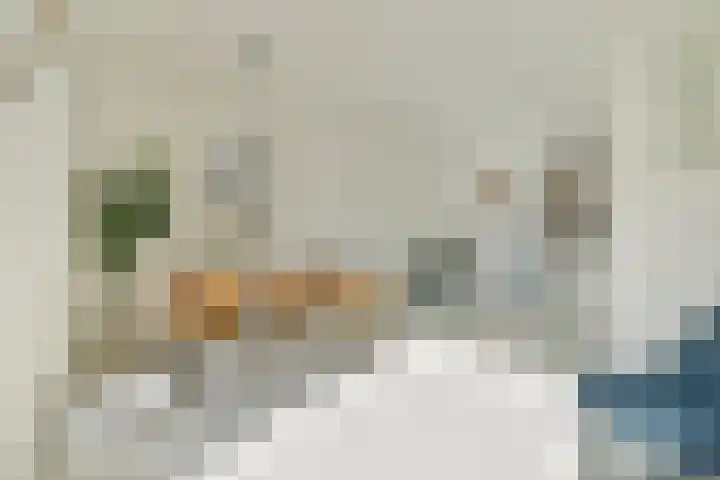 Yoka Berrettyhof 9 Rotterdam thumbnail 9