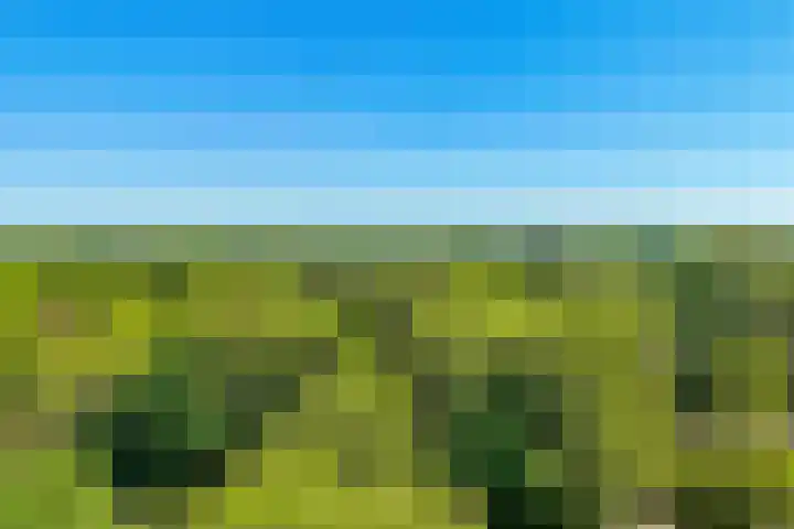 Yokohamadreef 152 Utrecht thumbnail 44