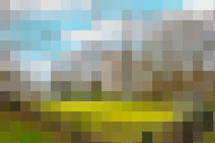 Yokohamadreef 34 Utrecht thumbnail 42