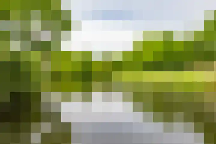 Yokohamadreef 50 Utrecht thumbnail 23