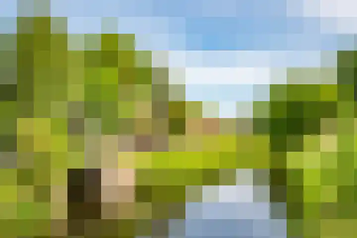 Yokohamadreef 50 Utrecht thumbnail 25