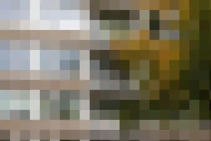 Yokohamadreef 76 Utrecht thumbnail 5