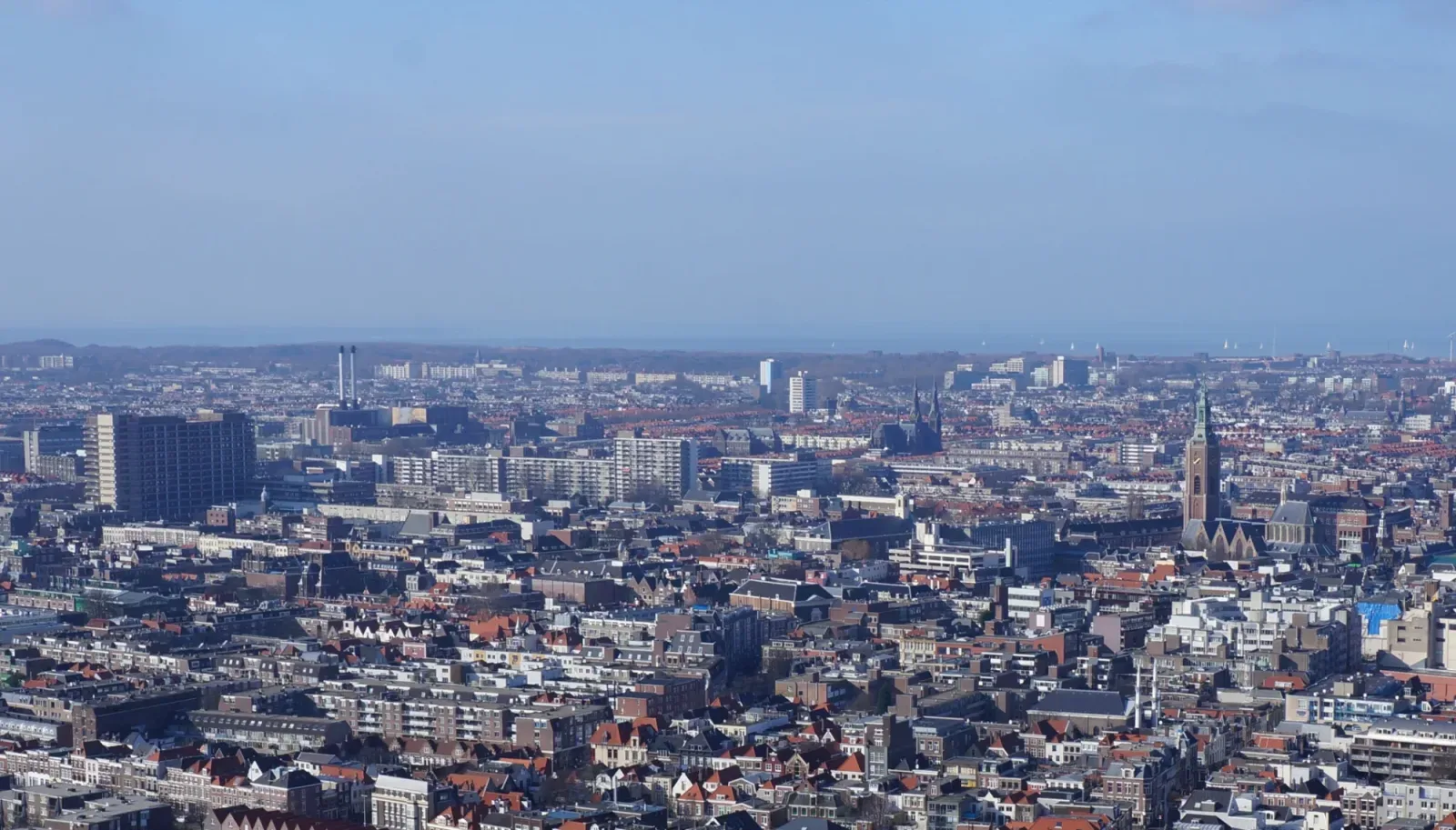 Mannschaftsfoto von YOU real estate