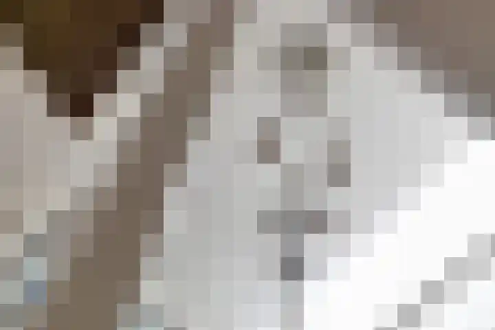 Youri Egorovweg 1 Almere thumbnail 18