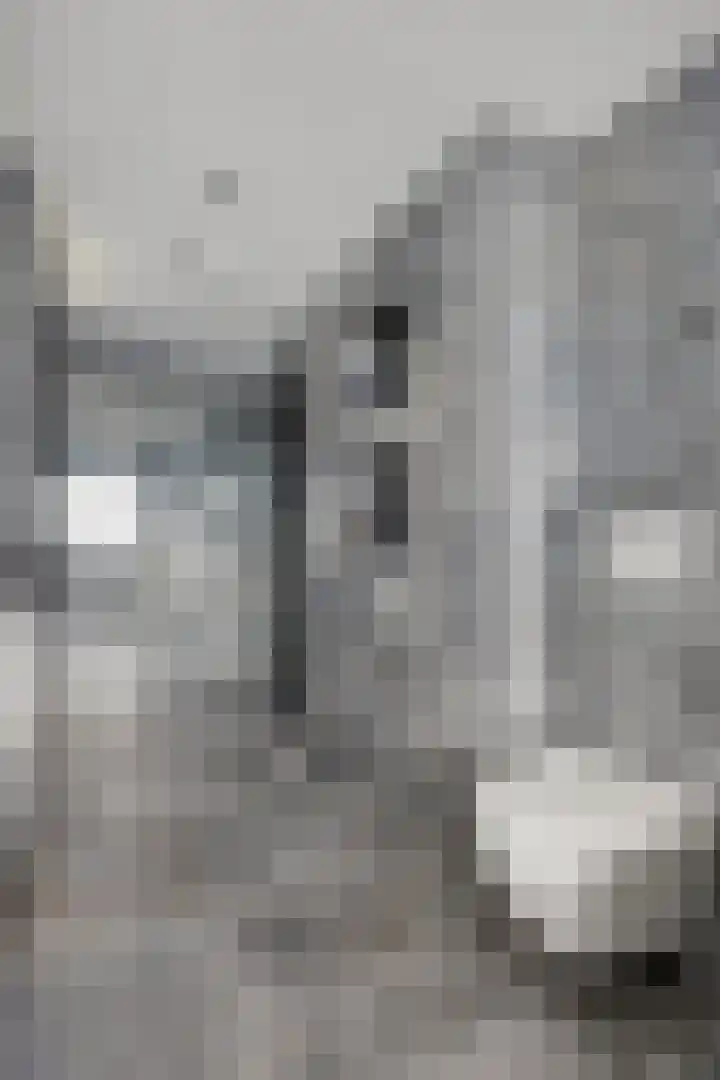 Youri Egorovweg 1 Almere thumbnail 21