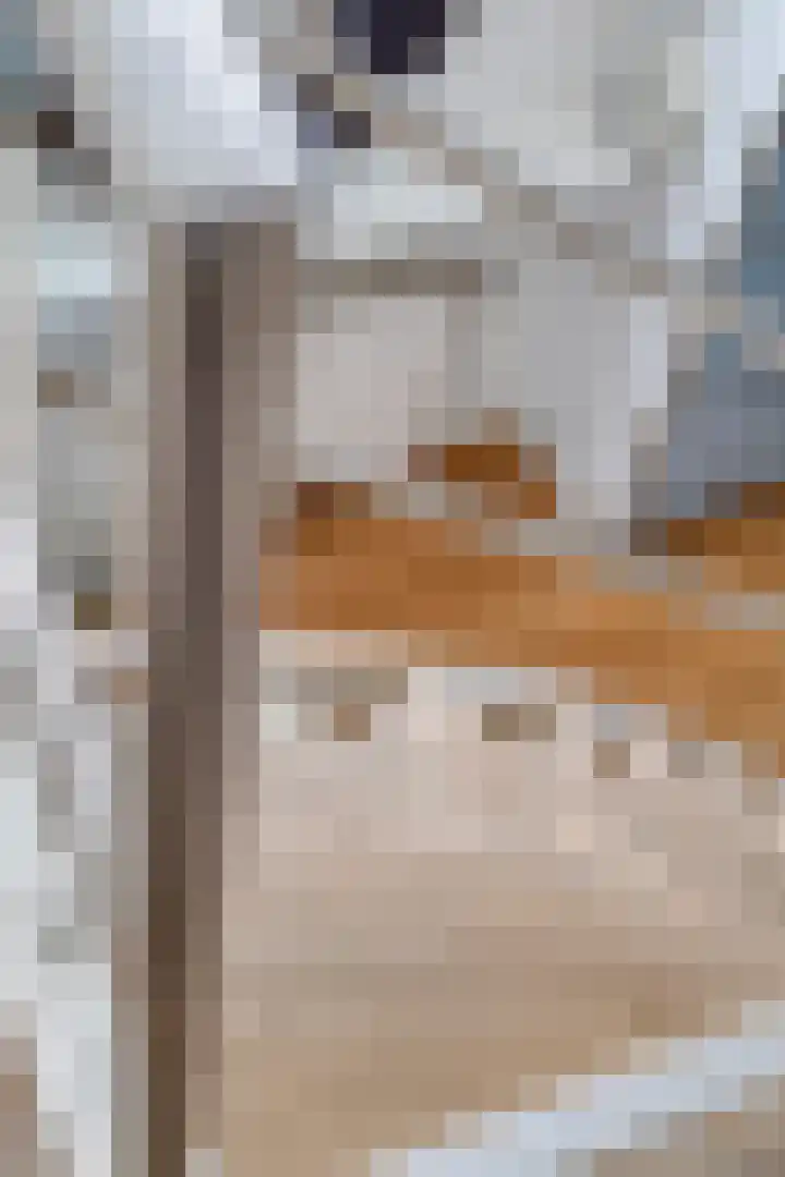 Youri Egorovweg 1 Almere thumbnail 26