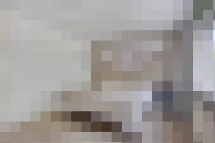 Youri Egorovweg 1 Almere thumbnail 27