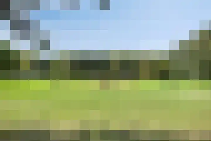 Youri Egorovweg 1 Almere thumbnail 39