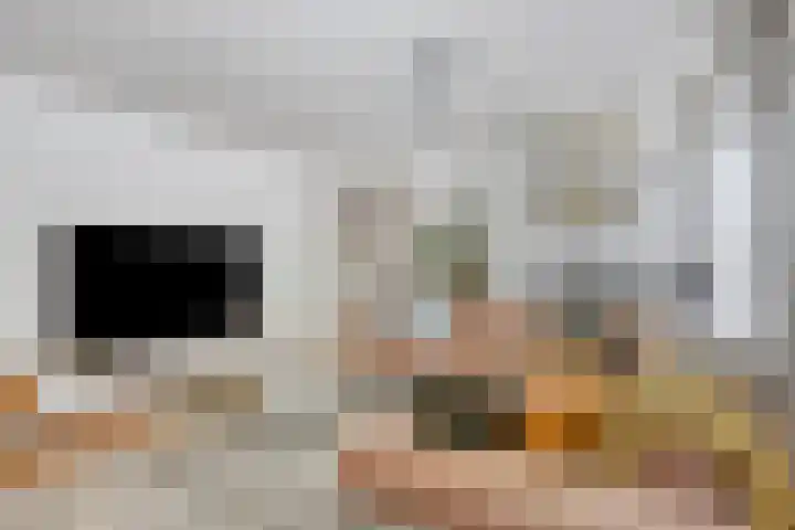 Youri Egorovweg 1 Almere thumbnail 4