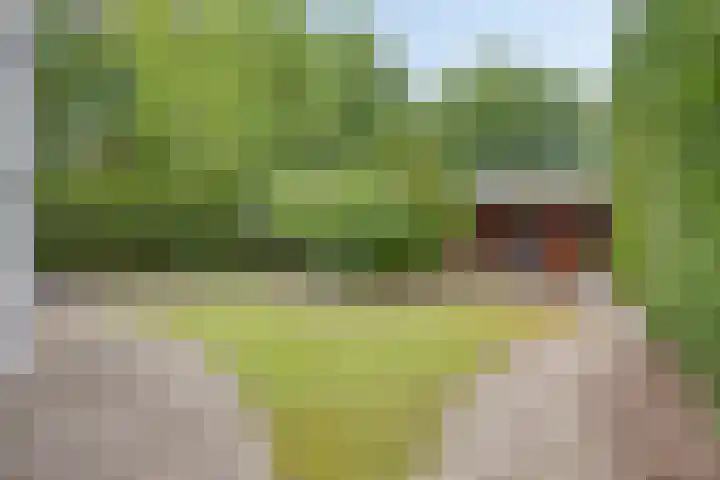 Youri Egorovweg 1 Almere thumbnail 40