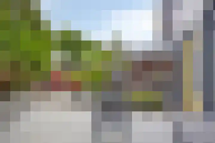 Youri Egorovweg 1 Almere thumbnail 43