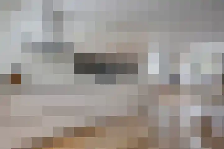 Youri Egorovweg 1 Almere thumbnail 9