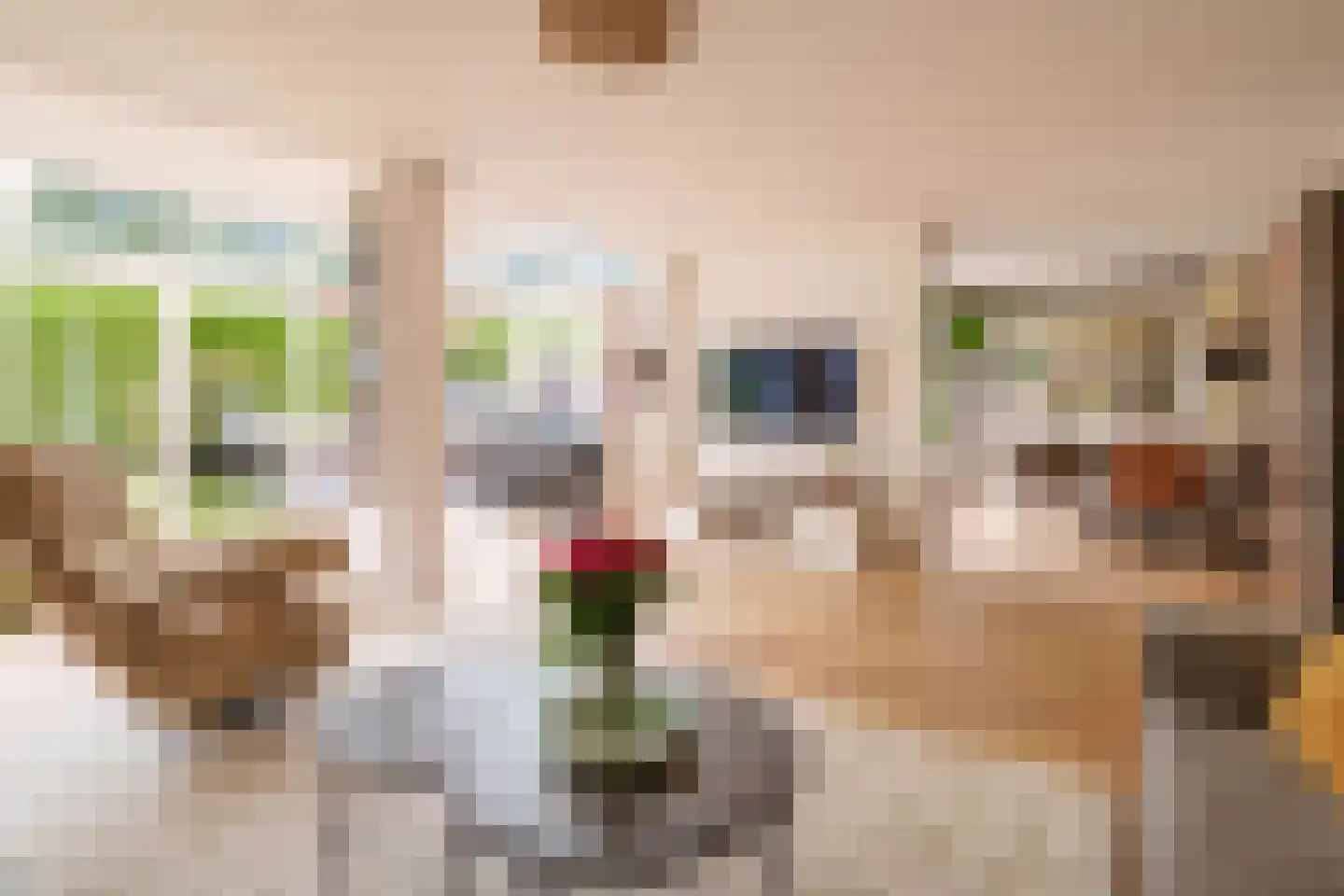 Youri Egorovweg 7 Almere thumbnail 11