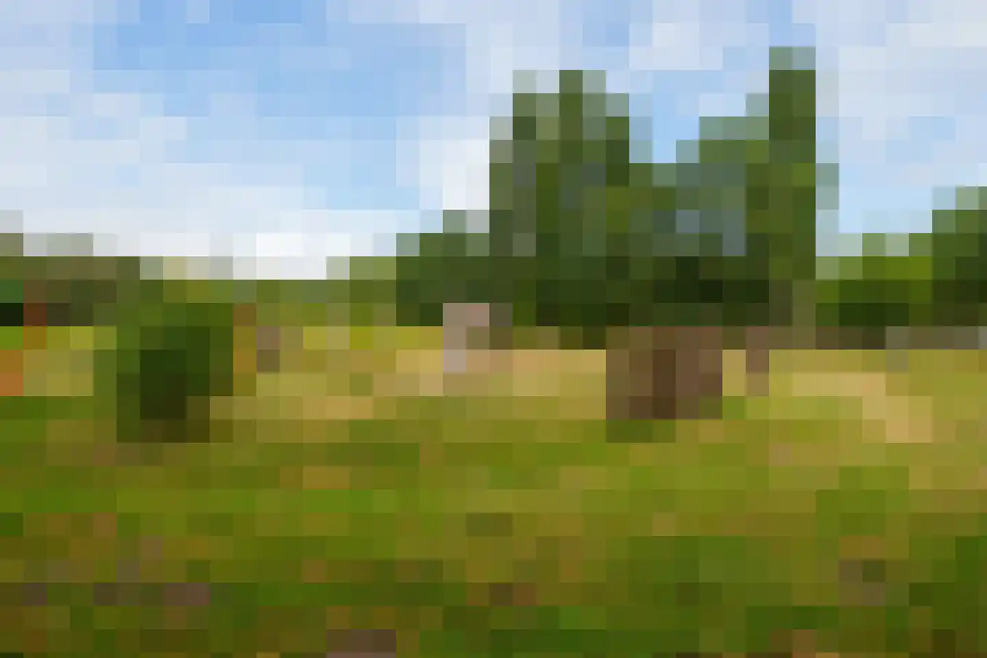 Youri Egorovweg 7 Almere thumbnail 63