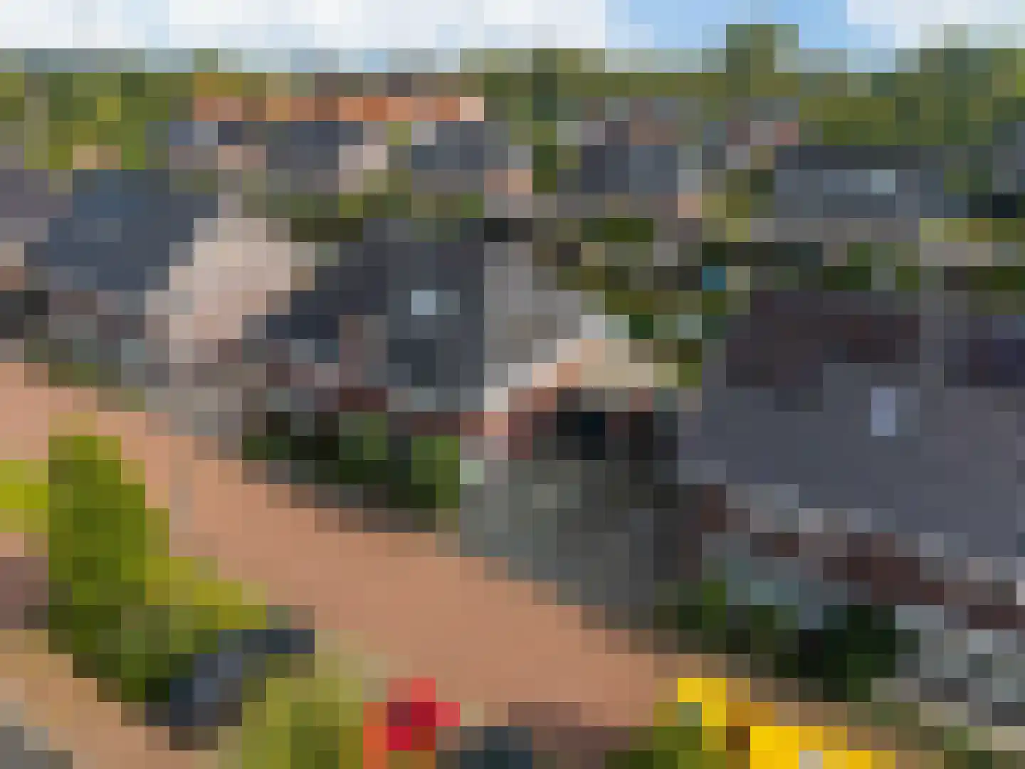 Ype Johannesstraat 19 Sneek thumbnail 7