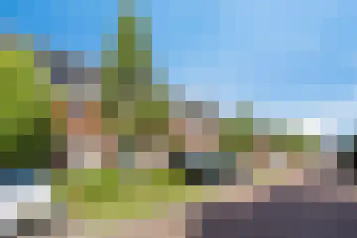 Ype Johannesstraat 22 Sneek thumbnail 6
