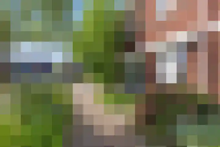 Ype Johannesstraat 22 Sneek thumbnail 8