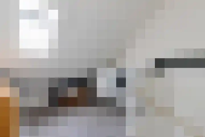 Ype Johannesstraat 8 Sneek thumbnail 24