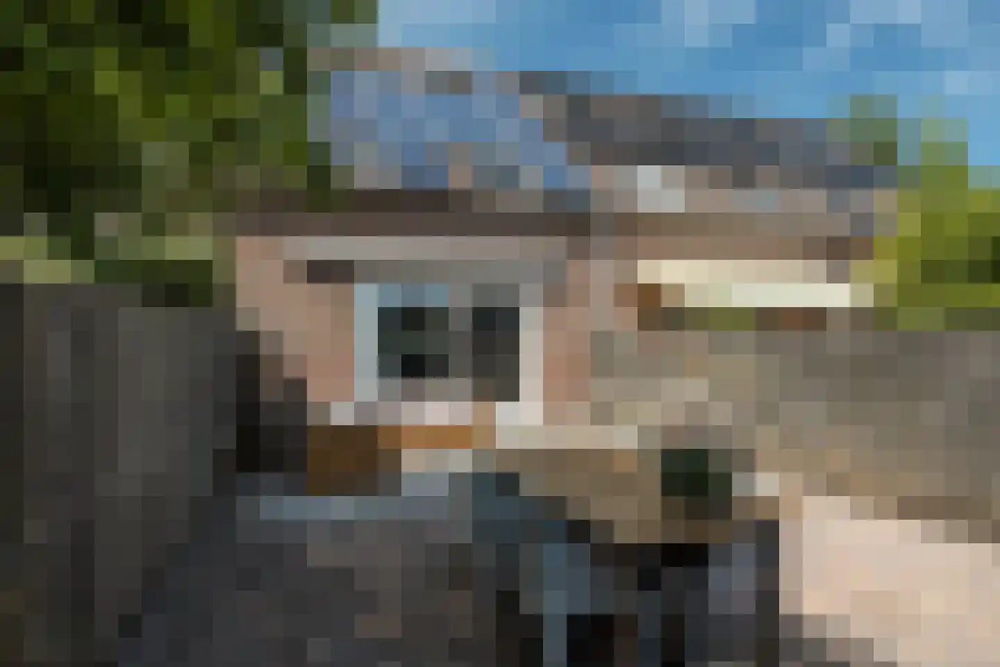 Ype Poortingawei 47 Leeuwarden thumbnail 19