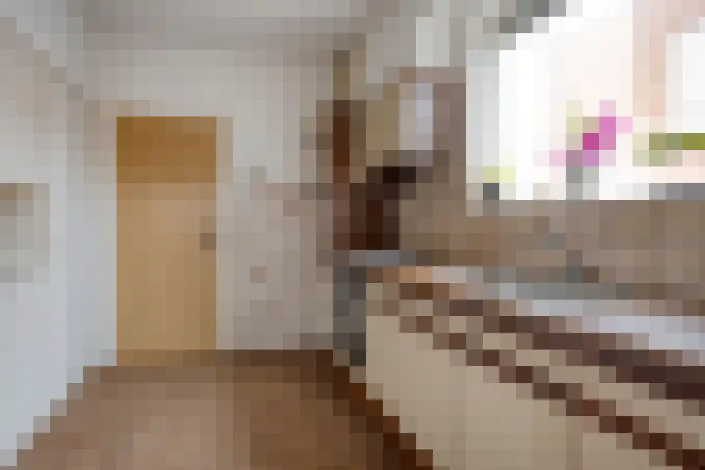 Ype Staakstraat 3 Sneek thumbnail 10