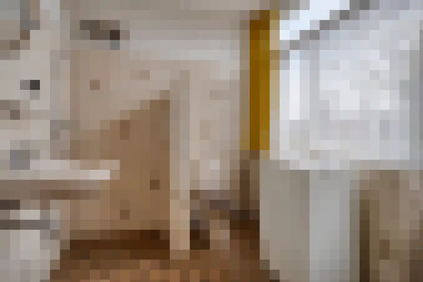 Ype Staakstraat 3 Sneek thumbnail 21