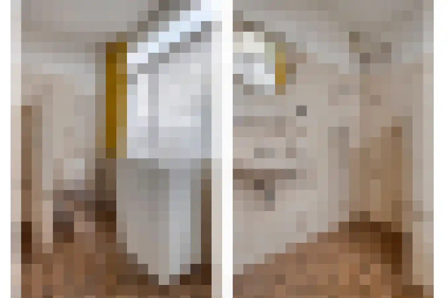 Ype Staakstraat 3 Sneek thumbnail 22