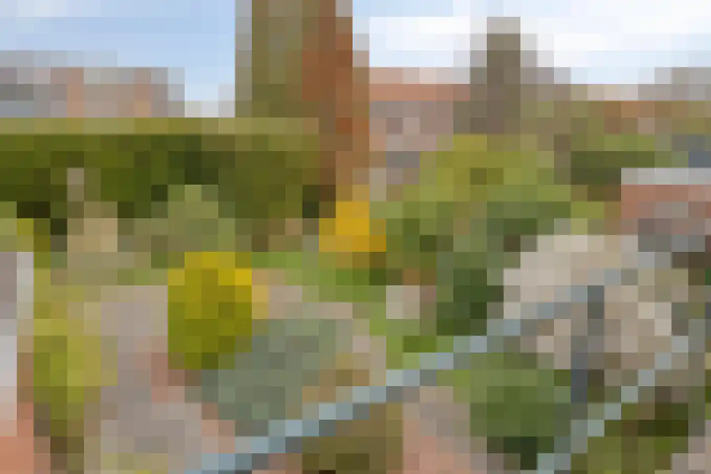 Ype Staakstraat 3 Sneek thumbnail 33