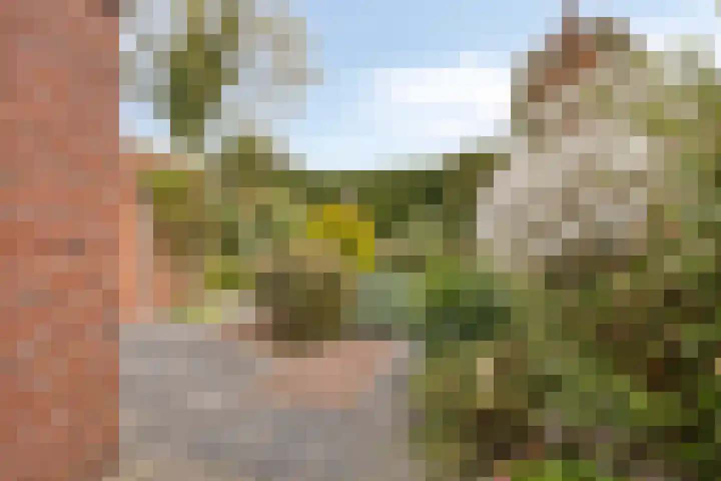 Ype Staakstraat 3 Sneek thumbnail 34