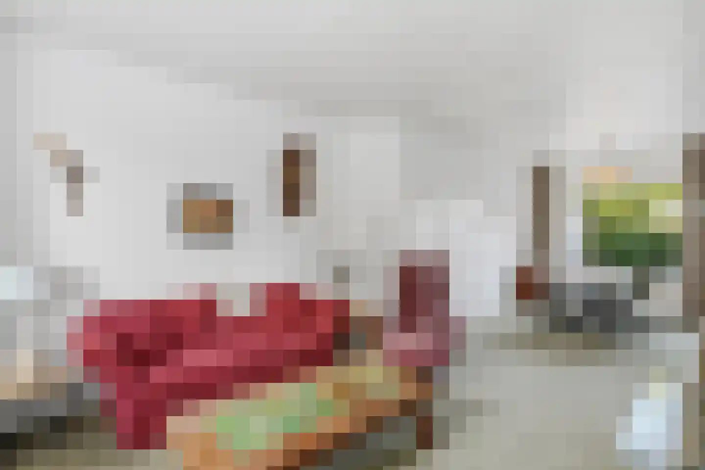 Ypeijsingel 30 Franeker thumbnail 18