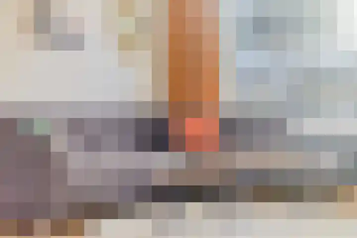 Ypelaar 16 Veghel thumbnail 14