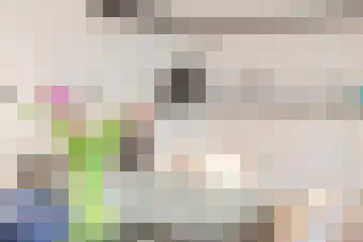 Ypelaar 16 Veghel thumbnail 15