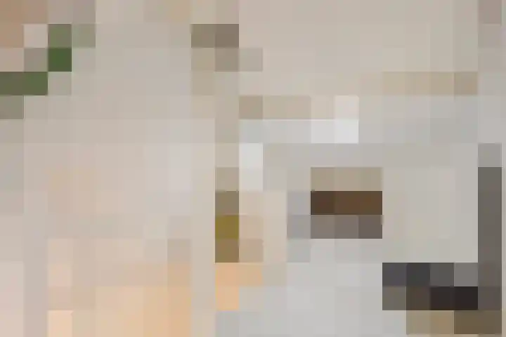 Ypelaar 16 Veghel thumbnail 24