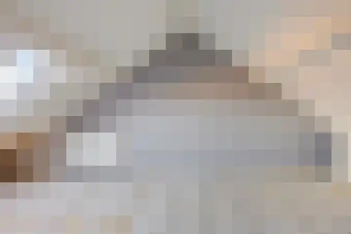 Ypelaar 16 Veghel thumbnail 25