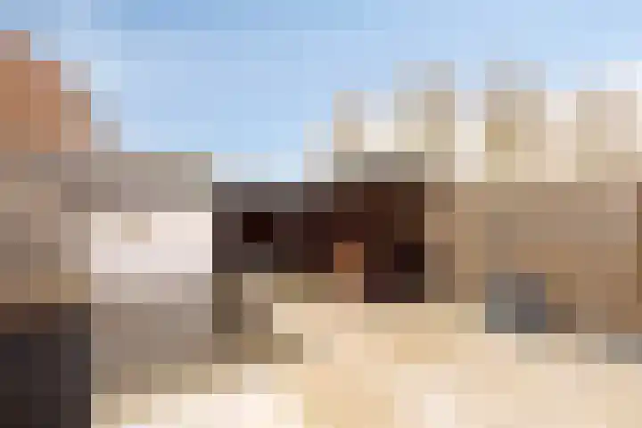Ypelaar 16 Veghel thumbnail 27