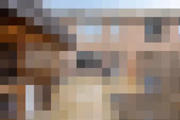 Ypelaar 16 Veghel thumbnail 28