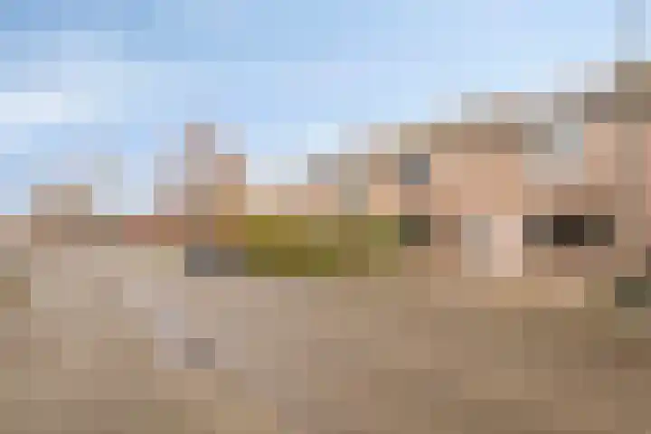 Ypelaar 16 Veghel thumbnail 31