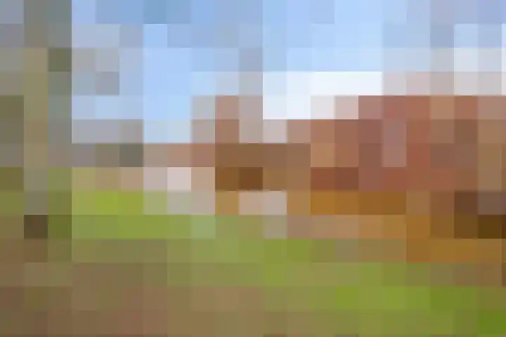 Ypelaar 16 Veghel thumbnail 33