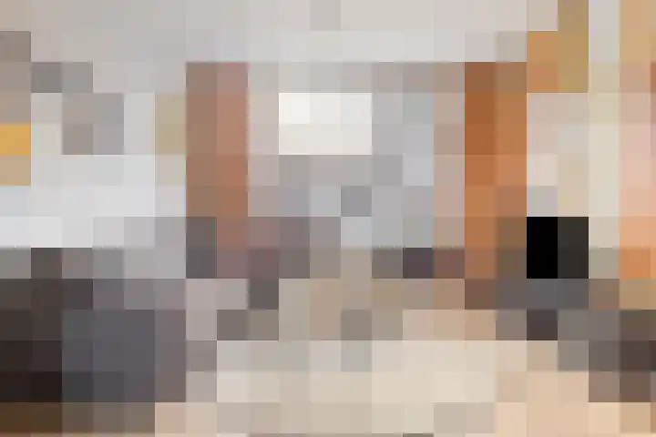 Ypelaar 16 Veghel thumbnail 5