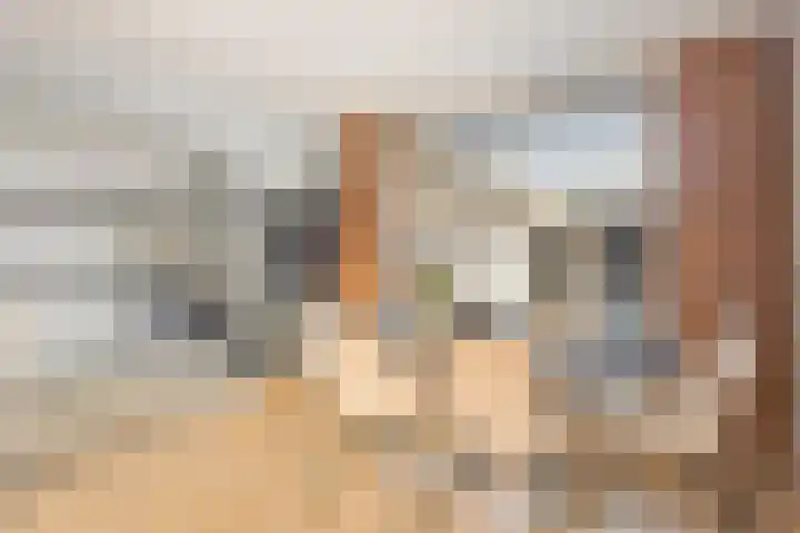 Ypelaar 16 Veghel thumbnail 8