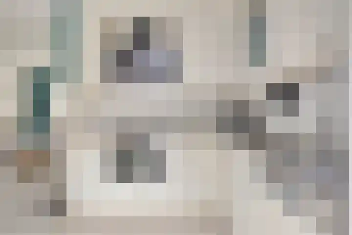 Ypelaar 20 Veghel thumbnail 16