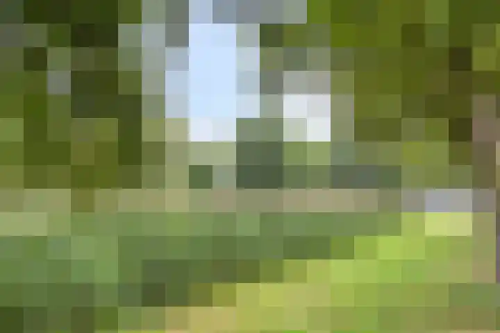 Ypelaar 20 Veghel thumbnail 38
